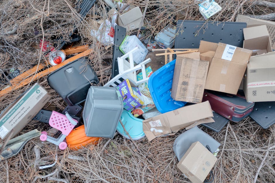 Edmonton council rules for bulky rubbish disposal explained